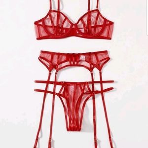 Sheer Mesh Underwire Garter Lingerie Set